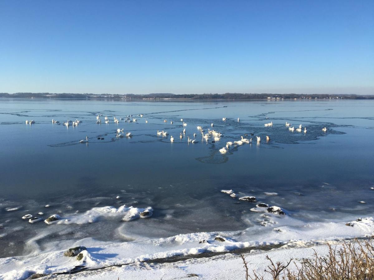Appartamento Seaside Glücksburg Esterno foto